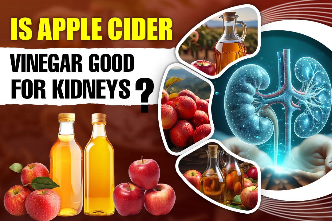 Is apple cider vinegar good for kidneys?